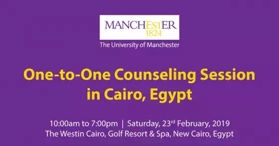 One-to-One Counseling Session in Cairo